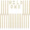 Wild One Birthday Cake Candles with Holders (Gold, 31 Pieces)